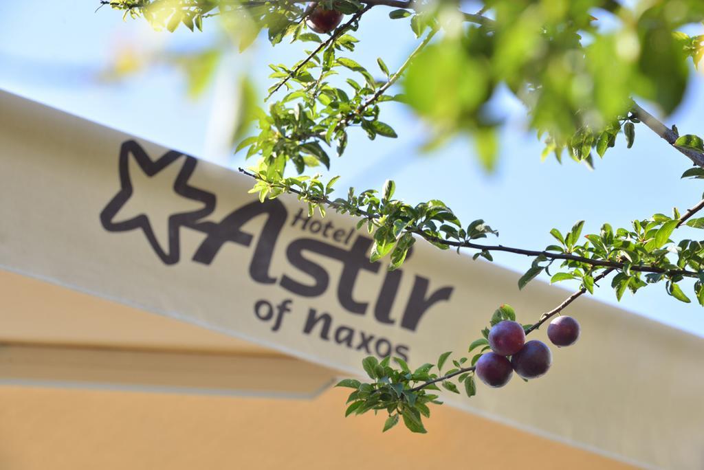 Astir Of Naxos Hotel Naxos City Exterior foto