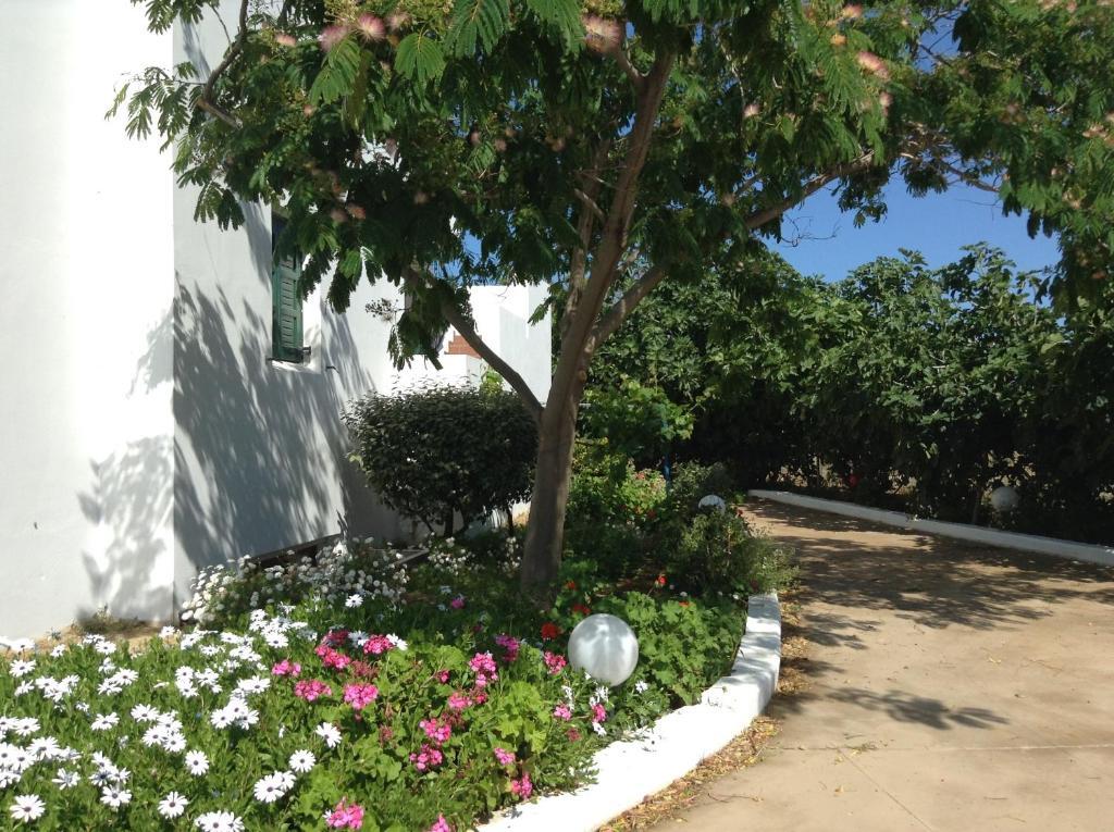 Astir Of Naxos Hotel Naxos City Exterior foto